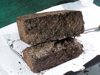 A broken section of the aged Fu Brick, revealing the rich, vibrant "Golden Flora" (Eurotium Cristatum) thriving inside.
