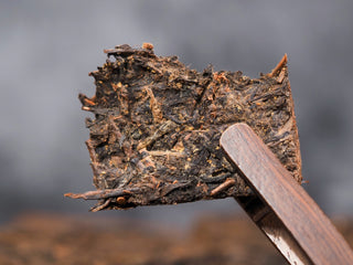 Close-up of Golden Flower (Eurotium cristatum) on 2014 Jingyang Fu Brick Tea.