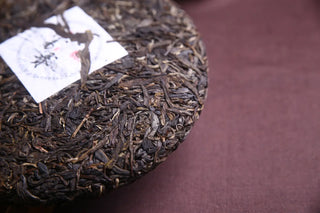 Detailed View of Dahusai Ancient Tree Raw Pu-erh Tea Leaves, Showing Gushu Buds and Silver Tips