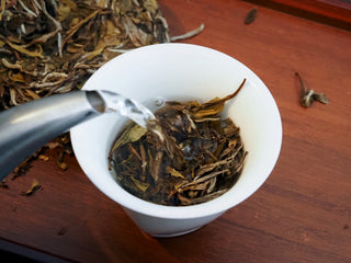 Hot water being poured from a stainless steel kettle into a white gaiwan filled with Silk Ray Bai Mu Dan white tea leaves.