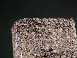 Close-up detail of the On Taoism Fubrick showing the visible 'Golden Flower' (Eurotium Cristatum) on the tea.