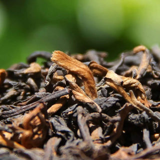 Macro shot of 6-year aged Yiwu ripe puerh tea leaves showing high-quality fermentation and rose fragments.