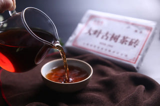 Pouring aged shou pu-erh tea into a white ceramic cup, demonstrating the smooth texture and vibrant color.