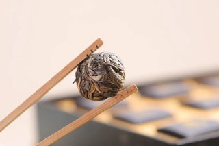 A Raw Pu-erh Dragon Pearl being held by chopsticks, illustrating the compact, beautiful shape of the 300-Year Gushu tea.