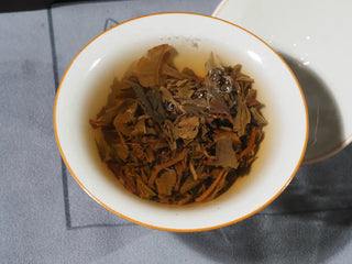 Yunnan Mini Raw Pu-erh Tea Brick fully steeped, leaves expanding and releasing bright, sweet liquor