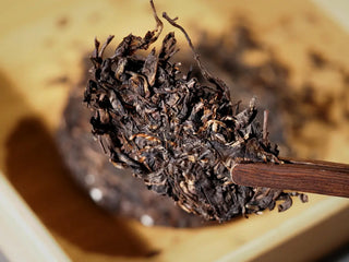 Close-up of Yiwu Raw Pu-erh Cake – 2013 Spring Tea, Hand-Pressed 2023, Sweet & Layered (100g) being picked with tea clamp, showing tea leaves texture and dark glossy appearance