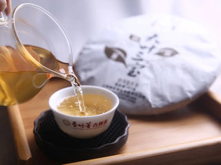 Brewing the Yunnan Sheng Puerh Blend: Pouring the bright golden tea liquor into a tasting cup.