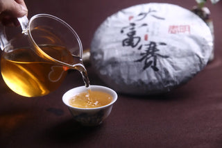 Brewing Dahusai Ancient Tree Raw Pu-erh Tea, Pouring Clear Golden Amber Tea Liquid