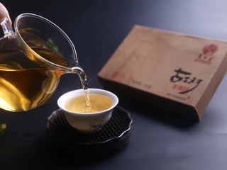 Gongfu brewing the Ancient Tree Golden Leaf Sheng Pu-erh, showing the bright, golden-yellow tea liquor.