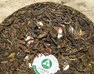 Side profile and back view of the 2005 Mengku Spring Tips Pu-erh cake showing aging progress.