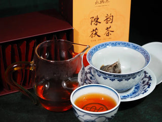 Professional tea set presentation of YXT 5-year aged Fu brick tea for a daily wellness ritual.