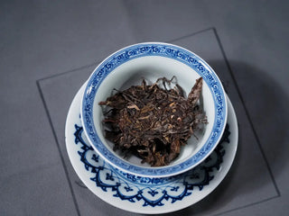A small piece of Ancient Arbor Harmony Raw Pu-erh Tea placed in a traditional gaiwan before brewing.