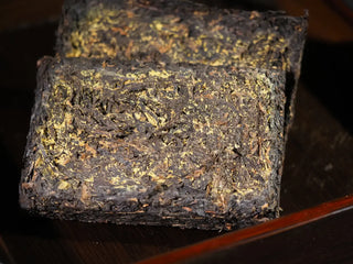 Microscopic view of Eurotium Cristatum (Golden Flower) inside Yunnan Fu Brick Tea.