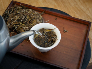 A wide shot of the brewing ritual, pouring hot water into a gaiwan on a minimalist wooden tea tray to wake up the 2023 Fuding white tea.