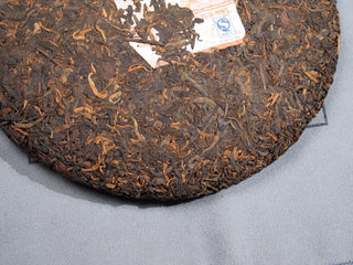 Side profile view showing the thickness and edge of compressed 2006 Dayi 7572 shou Puerh cake