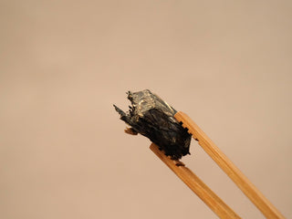 Side view of a 2014 Fuding Shou Mei waffle cake section held with bamboo tongs, showing dense compressed leaf structure.