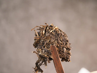 Close-up of a small broken chunk of 2019 Qilin Tribute Sheng Pu-erh Tea Cake – Ancient Arbor 357g, showcasing the aged sheng pu-erh leaves.