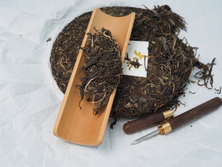 2020 Dazhai Ancient Tree Raw Pu-erh Tea – Loose Leaves on Bamboo Tea Scoop Showing Intact Bud and Leaf Structure
