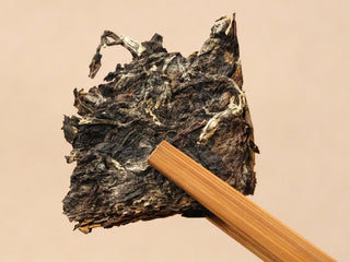Piece of Gold Brick 2012 sun-dried White Peony tea held with bamboo tongs, showing dark compressed leaves broken from the brick.