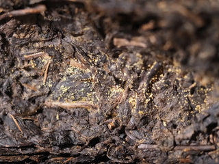 Detailed view of the loose, high-quality Yunnan Black Tea leaves used to make the Jingyang Fubrick.