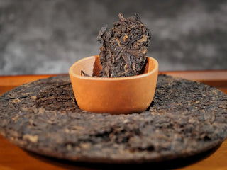 Close-up of a small piece of Qilin Hao Fengshan Gushu Ripe Pu-erh Tea Cake 2021, showing dark glossy leaves and texture