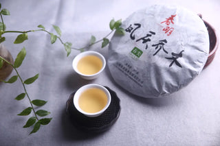 Lifestyle shot of the 2016 raw puerh cake with two cups of tea, showcasing the vibrant amber liquor.