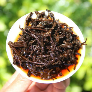 Display of wet tea leaves after brewing, showing the thick, tender texture of Yiwu arbor tree material.