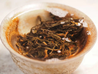 Snow Mountain Rare Wild Ancient Tree Sheng Pu-erh (2016–2023) – 100g Mini Cake, tea leaves fully steeped in the gaiwan, showing their expanded texture and rich color