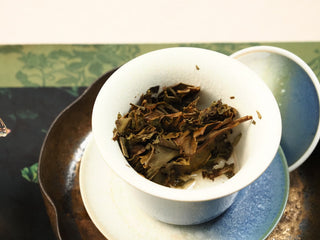 Wet steeped leaves from 2018 indoor-withered Fuding White Peony compressed biscuit, fully unfurled in a ceramic gaiwan.