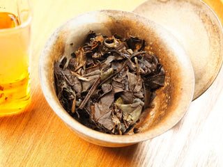 Wet steeped leaves from 2018 sun-dried Fuding White Peony compressed biscuit, fully unfurled showing mature dark and silver leaves in a ceramic gaiwan.