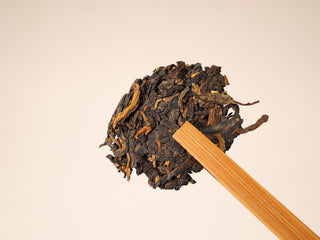 A broken piece of the 2020 Bojun 500g cake held by a bamboo pick, dark fermented leaf with golden buds on beige background.