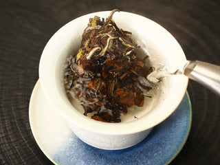 Hot water being poured over the 2020 Fuding White Peony leaves in a gaiwan, the first rinse awakening the compressed leaf.