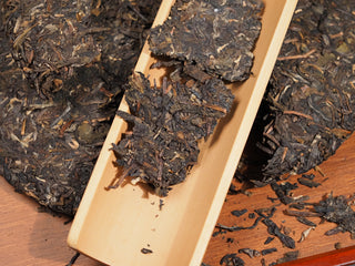 Prised dry leaves of 2021 Dayi Mi Xiang Raw Puerh tea presented on a traditional bamboo tea scoop (cha he).
