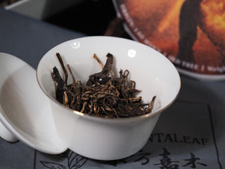 Plump dry leaves of 2023 Iron Fire Lao Man'e ancient tree raw Puerh tea placed in a white porcelain Gaiwan before brewing.