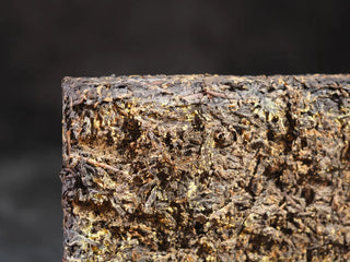 Macro shot of "Golden Flowers" (Eurotium cristatum) inside the 1958 Fu Brick tea.