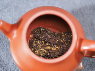 Placing 2023 Yunnan Fengqing Dark Tea into a Zisha clay teapot for steeping.