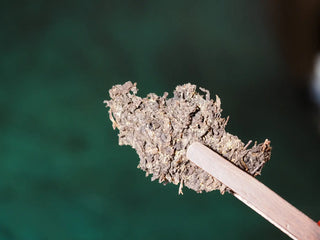 Dry crumbles of YXT Jingyang Fu Tea Ximanzi, featuring the "Golden Flower" (Jin Hua), measured with a tea scoop.