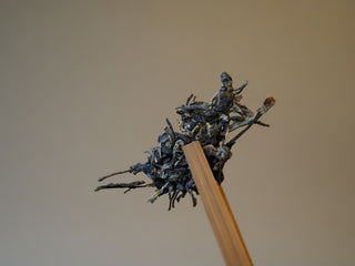 Dry loose raw puerh tea leaves held by wooden tongs, displaying long stems and fuzzy buds.
