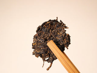 A larger broken chunk of the 2020 Bojun 500g cake lifted by a bamboo pick, displaying the pressed fermented leaf structure.