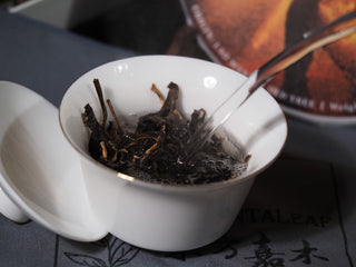 Pouring water into a white porcelain Gaiwan filled with 2023 Iron Fire Lao Man'e ancient tree raw Puerh tea leaves.