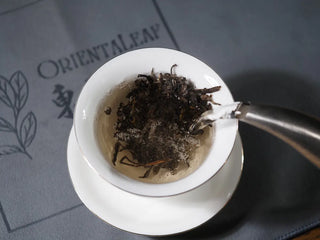 Pouring hot water over 2018 Dazhai Ancient Tree Raw Pu-erh Tea Cake in gaiwan, Yunnan Sheng Pu-erh