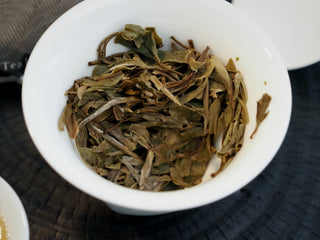 Close-up profile of the wet, infused Bai Mu Dan tea leaves (leaf bottom) inside the gaiwan, showcasing plump buds and tender active leaves.