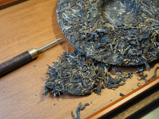 Prying leaves from Mangfei Mountain raw Pu-erh tea cake with a tea needle