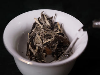 Pouring hot water into a gaiwan with Yunnan Jinggu White Peony Tea Cake 357g, beginning the infusion