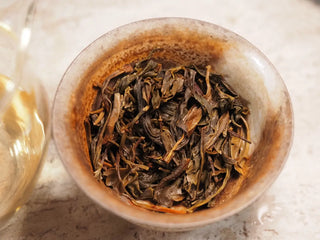 Snow Mountain Rare Wild Ancient Tree Sheng Pu-erh (2016–2023) – 100g Mini Cake, close-up of fully steeped tea leaves, highlighting texture, color, and quality of wild ancient tea leaves