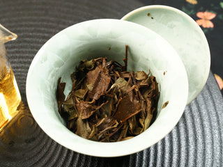 Fully steeped wet Fuding Shou Mei leaves in a gaiwan, side view showing broad mature sun-dried leaves.