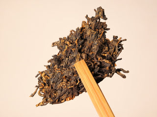 A larger broken chunk of the Bojun Ripe Pu-erh 7.0 cake lifted by a bamboo pick, showing the pressed fermented leaf.