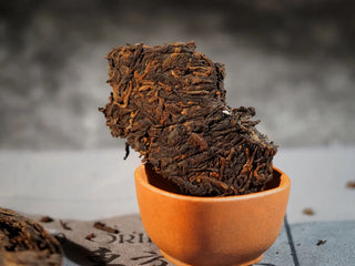Close-up of a small pried piece of Bulang Mountain Ancient Tree Ripe Pu-erh, showing detailed leaf texture and fine tips