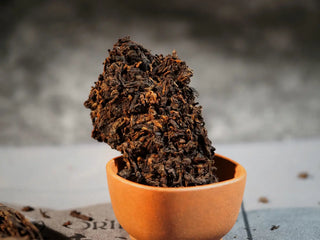 Another close-up of the reverse side of a pried piece, highlighting intricate leaf veins and natural compression