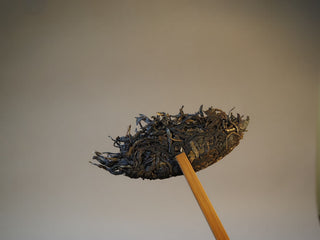 Pry-separated loose ancient tree sheng pu-erh tea leaves on a tea needle